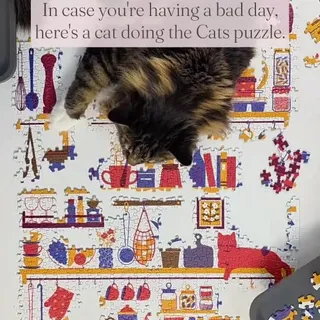 Send this to someone who needs a little cheering up. 💜🧩

#cloudberriespuzzle #jigsawpuzzles #puzzlelover #catlovers #puzzlecommunity