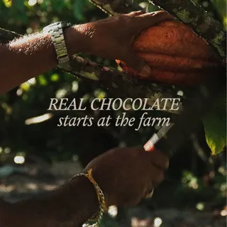 Real chocolate starts long before the bar is made.

It starts at the source.