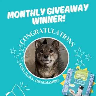 A massive round of ap-paws for Kuma (@aloka_thegomashiba), our Monthly Giveaway Winner! 🏆

Want to see your best friend featured here? Keep an eye out for the next month's giveaway — your turn might b