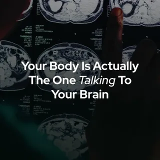 We’re here to educate you on the Vagus Nerve. It’s the literal information highway between your body and your brain.

Think of it like a reporting line. If you know how to train it properly, it’s poss