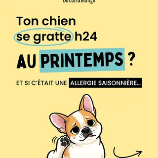 Le printemps est bien là, et avec lui, les allergies aussi 🤧

C’est le moment de ressortir les baumes Miraculeux du placard pour apaiser les petits bobos saisonniers 🤎

✨ Nos conseils pour limiter les