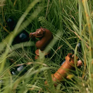 Wild Vetiver - an aristocratic garden reimagined, inviting a barefoot wander through sunlit grass. Born from noble roots, this composition reveals a vibrant tension between precise refinement and natu