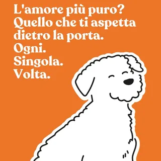 Non servono parole, non servono promesse.
Basta che apri la porta e lui è lì, come se fossi stato via per anni invece che per due ore.
Scodinzola, salta, ti guarda come se fossi la cosa più importante