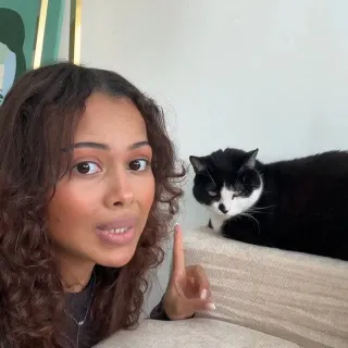 Réorganiser son intérieur sans stresser son chat, c'est possible 🏠🐾

Deux solutions Feliway pour garder son équilibre émotionnel intact ✨