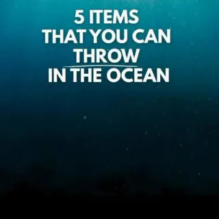 5 items that you can throw in the oceans 👀