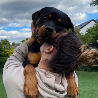 Happy Hug Your Dog Day 🐾

Did you know not every dog finds hugs comforting? For some, it can feel restrictive or stressful.

The best way to celebrate? Learn what your dog enjoys! Whether that’s gentl