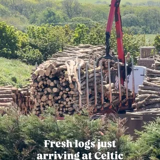 From Forest to Firewood
Fresh off the truck and into the yard—these raw logs have just arrived at Celtic Timber. Right now, they’re in their natural form, but not for long.

Next, they’ll be cut down 