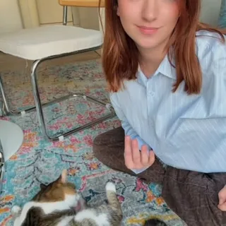 Grand ménage à la maison… mais pas question de perturber l'équilibre de ton chat 😌
Feliway Optimum, le petit soutien du printemps 🌸