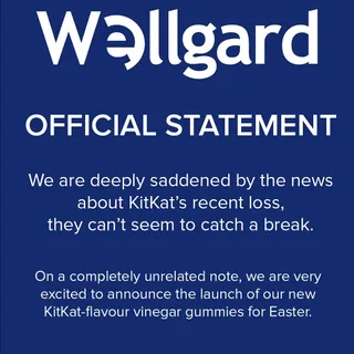 Official statement💙 #kitkat