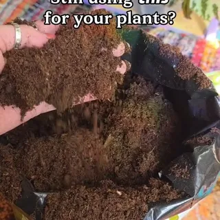 Not all potting soil is created equal 🌱

➡️ Comment “SOILMIX” and I’ll send you the exact soil mix I use 💚

That basic houseplant mix might seem fine… but for a lot of plants it’s actually too dense a