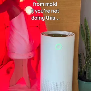 Mold recovery requires a two-part strategy:

1️⃣ You have to clean the environment around you

2️⃣ You have to support the body clearing what’s already inside you

That’s why the combination of a Jasp