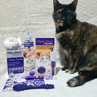 It’s Pet Anxiety Month, so it’s the perfect time to think about how we can help our pets feel calm and comfortable 🐾💜

My cat Willow has definitely been spoilt today after receiving these goodies from