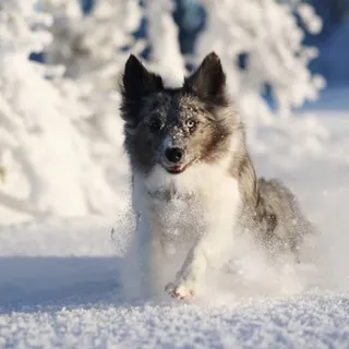 Winterabenteuer gehen, KUDDE-Komfort bleibt. ❄️➡️☁️

Der Schnee schmilzt langsam und wir sagen "Tschüss" zu den weißen Wunderwelten. Was uns aber in jede neue Jahreszeit begleitet? Die Extraportion Ge