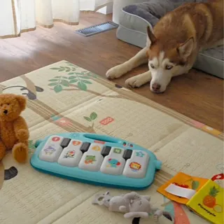 Parenting a baby and a pup? Yeah… you need a secret weapon🍼🐶

The Airmega 350 clears fur, germs, and chaos — so you can focus on snuggles, not sniffles 💛