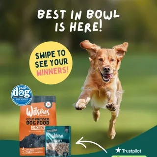 🥁 DRUMROLL PLEASE!

Our winners have been decided. But really, you’re all perfect pups to us ✨🐶

We’ll be in touch with our winners to organise your prizes 🏆🥇

#crufts2026 #happydog #premiumpetfood