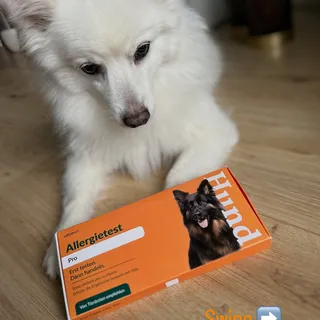 Anzeige/Werbung
Mein Allergietest Ergebnis ist da ‼️ nach gerade mal 4 Tagen war das ausführliche Ergebnis in der App von @vetevo_de 

Neben Futtermittel, Gräser, Pollen und Zusatzstoffen wurden auch 