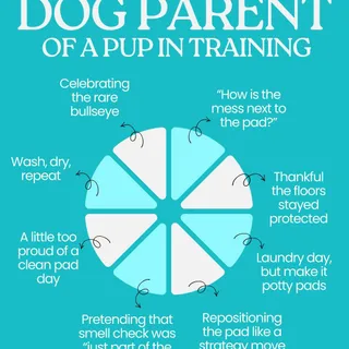 Life as a dog parent = celebrating the wins, cleaning up the misses, and pretending you’re totally used to the smell check by now.

The good news? Potty Buddy helps keep the chaos a little more contai