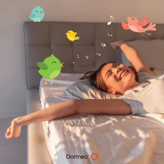 Nights spent slumbering on our Premium Topper will have you waking up so bright and shiny, you'll be ready to burst into song with the woodland creatures 🐰🦊🐦‍

#SleepingBeauty #Dormeo #MattressTopper 