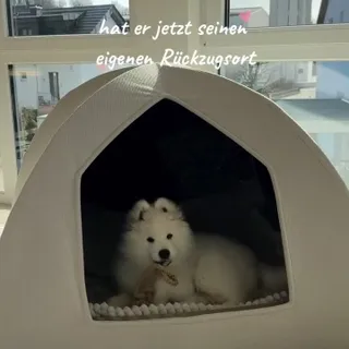 Ich Liebs 🥹💖 und Balu auch🐶🫶🏽

#kudde #sabro #hundebett #hundeiglu