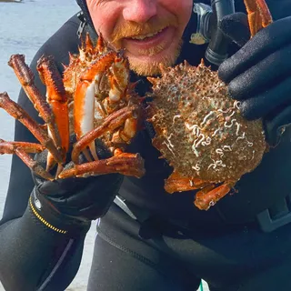 Stop chez chef JIB 🧑‍🍳🔥 Crab cake spicy 🔥

La Bretagne, on l’a dans le cœur comme jamais !

Chaque printemps, même rituel : pied gauche dans l’eau glacée, une gorgée salée… puis on plonge choper les p