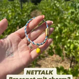 NETTALK

Lange haben wir überlegt, ob wir eine Charms Kollektion machen sollen. Ehrlich gesagt kam die Nachfrage von außen nie so richtig, aber in uns war sie die ganze Zeit da. Weil wir gemerkt haben