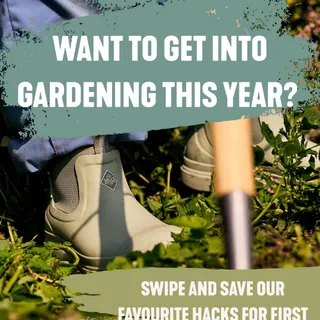 Some of our favourite first time gardener tips.🌱 Let us know your favourite gardening tips in the comments below 👇 

#gardeningtips #firsttimegardener #gardenhacks
