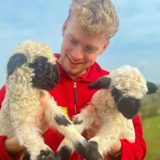 GOOD MORNING! @pennywellfarm 🐑☀️💛 #spring #devon