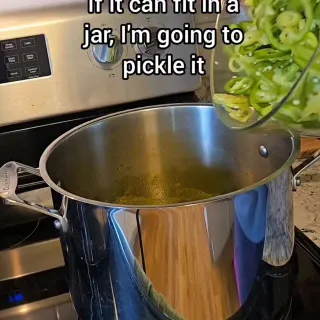 Pickle all the things!

Use the code WILDHAVEN10 on ForJars website for 10%  off your entire order! And you can stack that code on top of a sale price!

#pickled #pickledvegetables #foodtiktok #fillth
