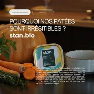 🐕 Nos pâtés Stan Bio sont l’allié parfait pour le bien-être des chiens ! Utilisés comme repas complet ou en complément de croquettes pour petit combo bien croustillant, ils apportent une hydratation e