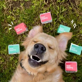 La hora de la comida acaba de recibir la mejora gourmet con la que todo perro sueña 🤭

Comenta TOPPING y te enviaremos un link para probar nuestros Toppings Vitamínicos.

@thegolden.wally