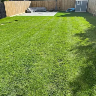 "I have been using the Lawn Pack products since last spring and can say what a breeze it has been, the instructions are so easy to follow and execute, my lawns are looking really good and the comments