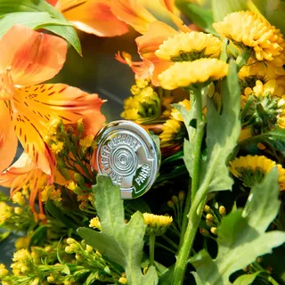 Dive into spring. A floral cascade drifts through the air: soft, luminous, endlessly inviting. 
Which scent will carry you this season?

#etatlibredorange #springfragrance