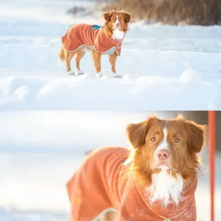 Winter walks, but make it cozy. ❄️🧡

Our go-to fleece for frosty adventures — warm, lightweight and ready for anything. @woollywolf.co Alpha 360 Fleece Pullover’s are now selling out for the season! G