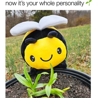 Don’t mind me Googling ‘is my plant dead or dramatic’ for the third time this week 😅