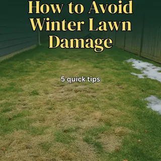Quick winter prep reminder: don’t leave the grass too tall heading into winter.

We recommend around 2 inches — short enough to stay upright under snow, reducing matting and disease risk - but not so 