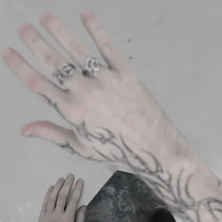Flux Ring Set.