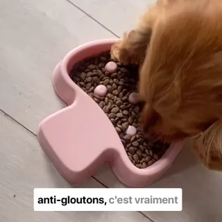 Et vous c’est quoi vos astuces pour les gros gloutons comme Henry ? #petfood #chien #chienheureux #recettebio #dogsofinstagram #bienetre #friandises