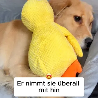 Dein Hund braucht diese Anti-Stress-Ente 💛 #Hundeliebe #Pfotenmond #Hund