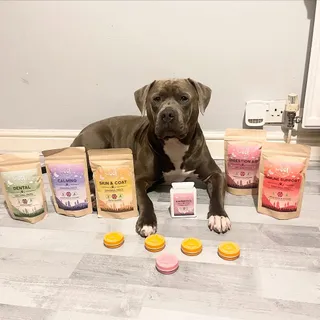 Introducing @thewoofwhisperer 

They do all these amazing supplements, there’s literally something for every pup!

We have: 
•Immune support - which boosts immunity and vitality 

•Digestion - Improve