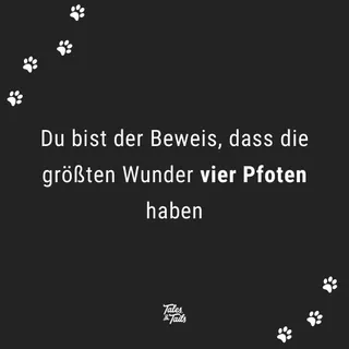 Mein Hund ist mein größtes Wunder 💝 

#hunde #hundeliebe #dogsofinstagram #hundecontent #hundecommunity #hundefreunde #instadog #puppylove #doglover #doglife #haustiere #tierliebe #cutedog #dogdaily #