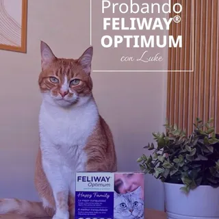 Los gatos no hablan... pero si convives con uno, sabes perfectamente lo que sienten 🐱

Cuando @luke_elgatete está tranquilo, lo demuestra con pequeños gestos: miradas suaves, amasamientos y largas sie