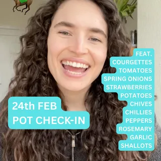 🌞🦦 24th FEB ~ POT CHECK-IN 🐎🐎 w FEB, JAN, DEC + NOV BOXES:
💰 COURGETTES
🍯 TOMATOES
🕴️ SPRING ONIONS
🍓 STRAWBS
🥔 POTATOES
🎋 CHIVES
🍫 CHILLIES
🍊 PEPPERS
🌹 ROSEMARY
🧄 GARLIC
🧅 SHALLOTS

feat. gang member