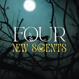 Our final seasonal release as Northern Soul Scents! 😮 Don’t miss it - this Friday 13th at 10am! The last one before we start our new and exciting chapter 🖤 

Any guesses as to what the scents might be