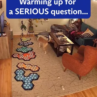 A little taxonomy practice with Sascha and @puppyparkerposey - so smart!
