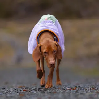 Hello Frühling 💜🩷🧡

Endlich ist er da🌷und passend dazu ist auch im Kleiderschrank von Bailey das passend Outfit eingezogen. 

Ich finde die Farbe macht einfach Lust auf Frühling, findet ihr nicht auch